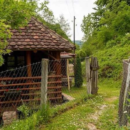 Campsite Mikin Vajat I Ribnjak Korenita, Loznica