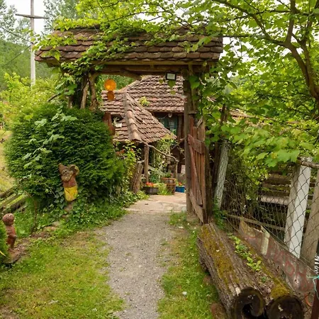 Kemping Mikin Vajat I Ribnjak Korenita, Loznica