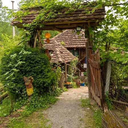 Campsite Mikin Vajat I Ribnjak Korenita,