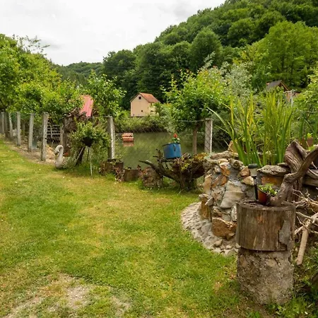 Campsite Mikin Vajat I Ribnjak Korenita, Loznica