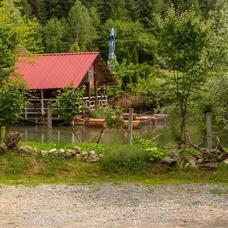 Mikin Vajat I Ribnjak Korenita, Loznica