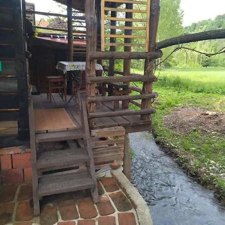 Campsite Mikin Vajat I Ribnjak Korenita,