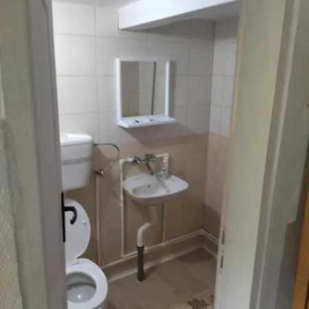 Mikin Vajat I Ribnjak Korenita, Loznica