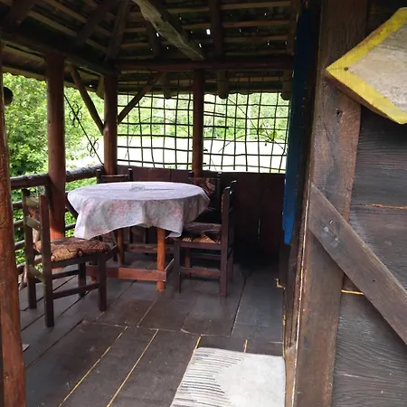 Mikin Vajat I Ribnjak Korenita, Loznica