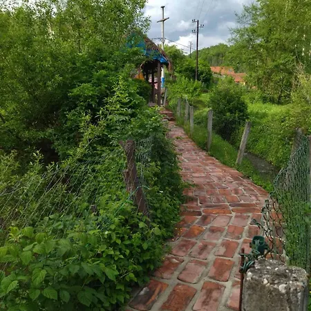 Campsite Mikin Vajat I Ribnjak Korenita, *