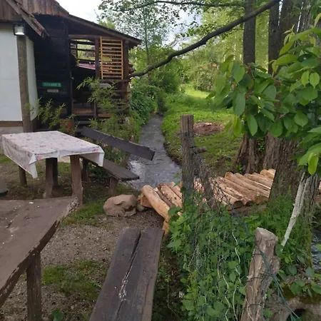Mikin Vajat I Ribnjak Korenita, * Loznica
