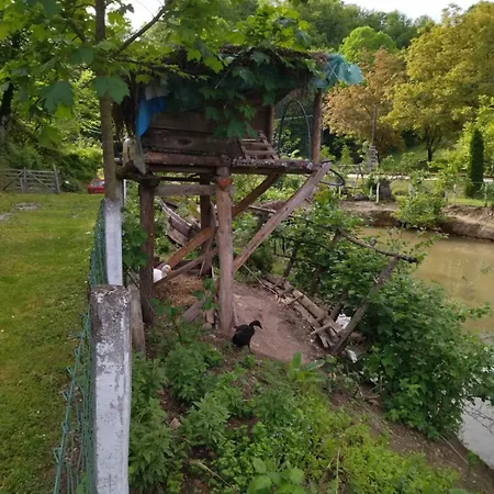 Mikin Vajat I Ribnjak Korenita, Campsite
